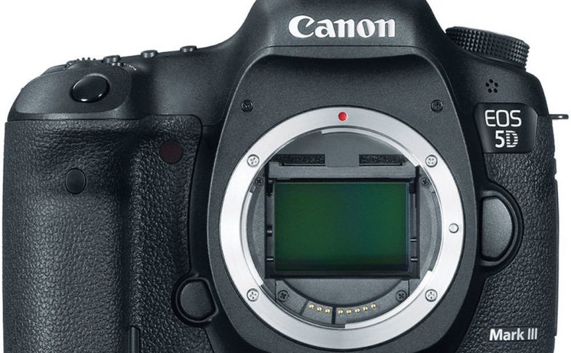 A Must Have: Canon EOS 5D Mark II Camera